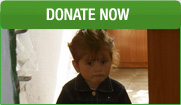 Donate Now